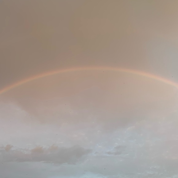 Meet your Posher, Isabella - Picture 1 of 1